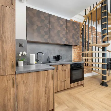 Two-level In The Center With Air Conditioning By Renters Apartment Lublin
